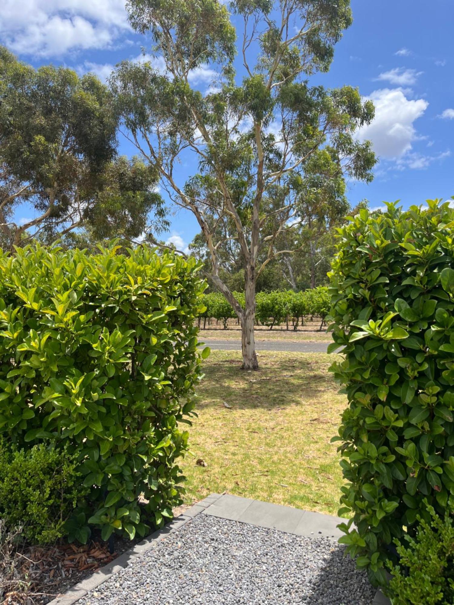 Willa Oxenberry Farm Mclaren Vale Zewnętrze zdjęcie